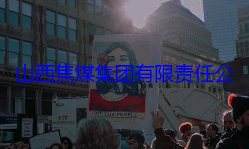 公司原副总团有限责任查经理杨新华接受审查调山西焦煤集
